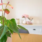 Le Nid Tourangeau Apartment Tours
