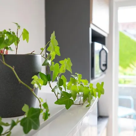 Le Nid Tourangeau Tours