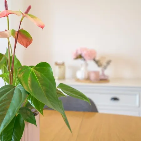Le Nid Tourangeau Appartement Tours