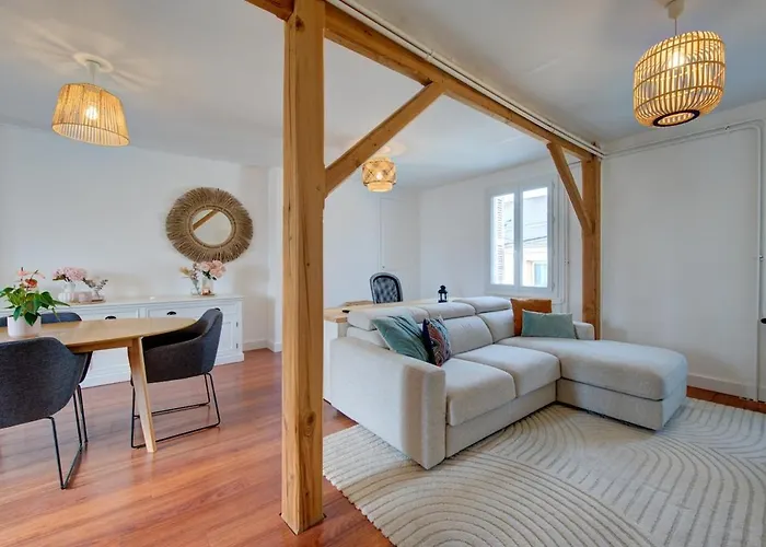 Le Nid Tourangeau 公寓 *