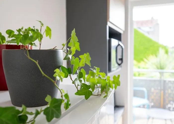 Le Nid Tourangeau 图尔