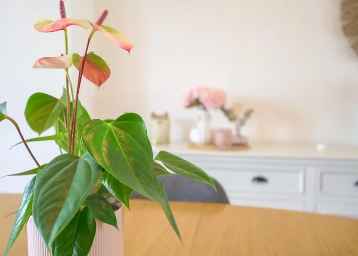 Le Nid Tourangeau 公寓 图尔