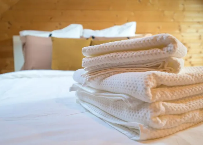 Le Nid Tourangeau * 图尔