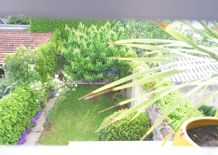 公寓 Le Nid Tourangeau 图尔